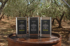 Olivenbaum Abo/Patenschaft / 3l Bio Extra Natives Olivenöl Blend - Italien Apulien