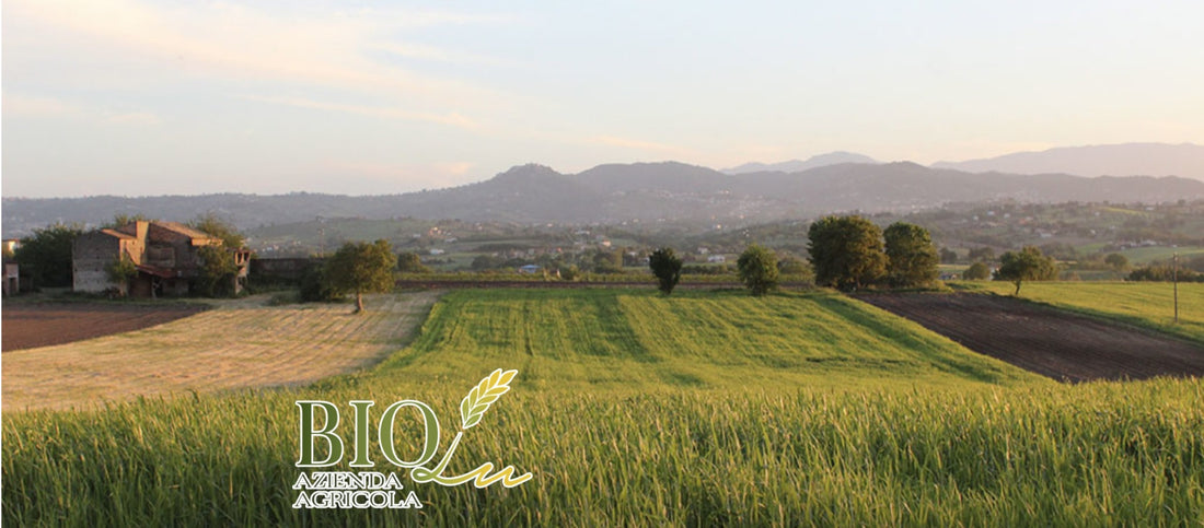 BioLuSannio-Kampanien