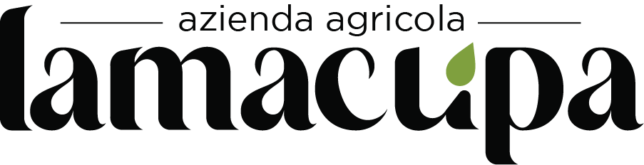 Logo-Terra-Surti-logo-piccolo