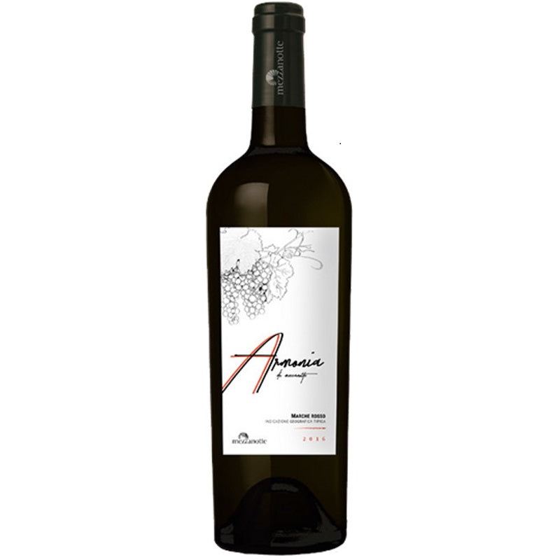 Rotwein Armonia "Marche Rosso IGT" von Cantina Mezzanotte 0,75 l | Marken, Italien | Rebe: Montepulciano