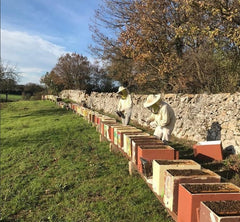 Bio-Bienenstöcke-Apulien