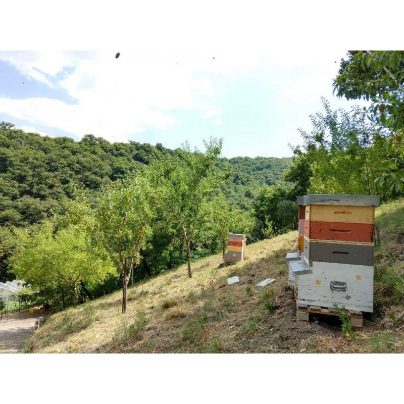 Kastanien-Bienenstöcke-Bio-Honig