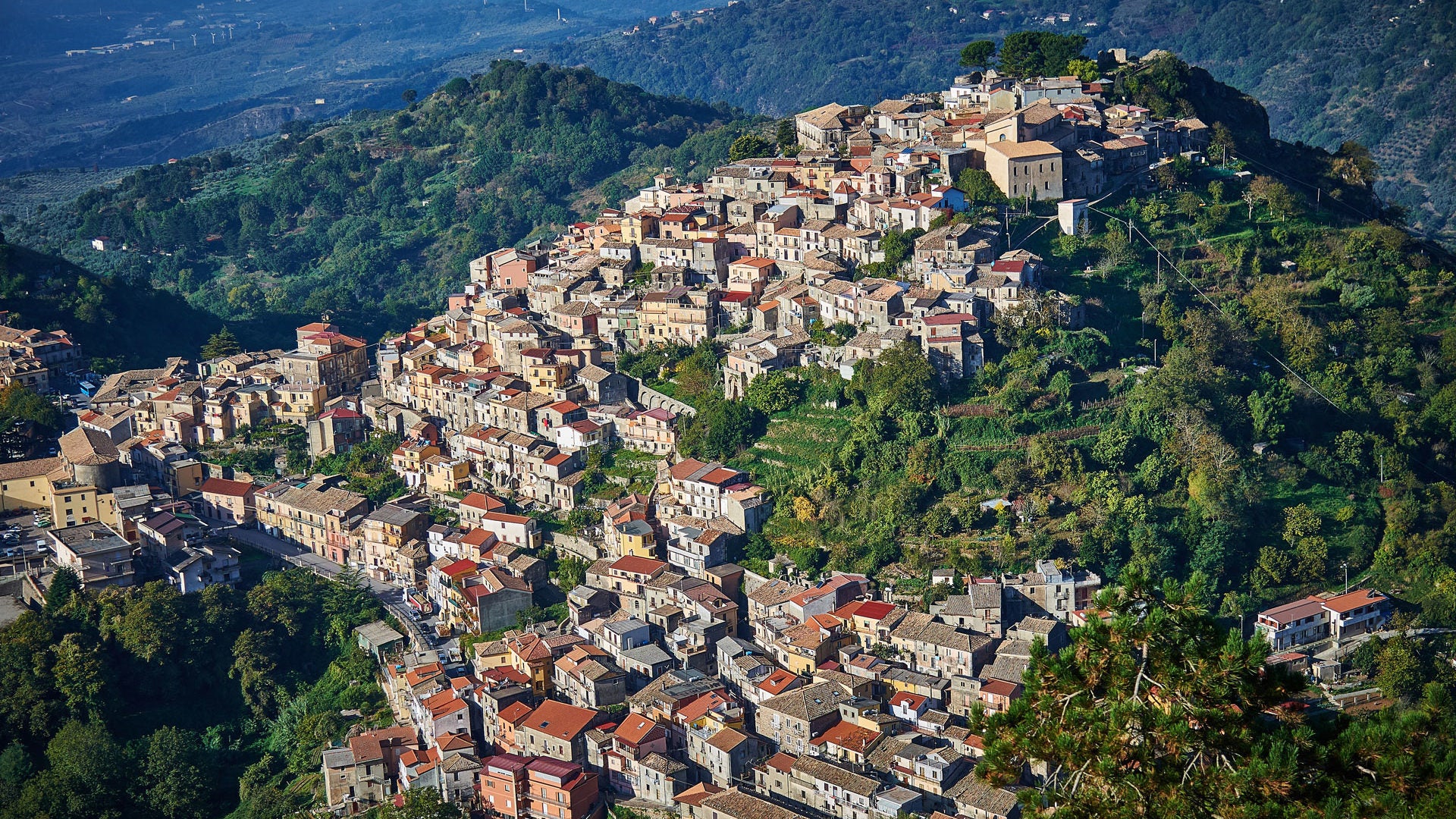 Bio Olivenöl Abo 3l Extra natives Olivenöl aus Italien, Kalabrien | von Torchia