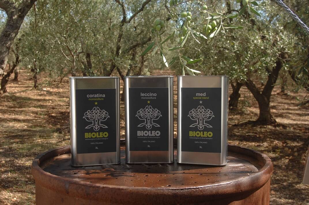 Olivenbaum Abo/Patenschaft / 3l Bio Extra Natives Olivenöl Leccino - Italien Apulien