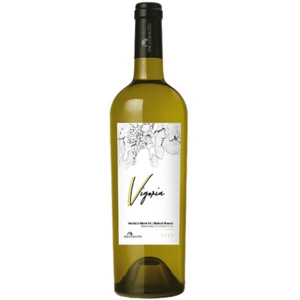 Weißwein Vigoria "Marche Bianco IGT" von Cantina Mezzanotte 0,75 l | Marken, Italien | Rebe: Incrocio Bruni 54
