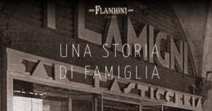 Flamigni-Geschichte